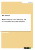 Kennzahlen im Bankcontrolling mit Schwerpunkt Vertriebscontrolling