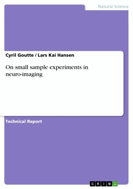 Lars Kai Hansen, Cyril Goutte - On small sample experiments in neuro-imaging, E-bok