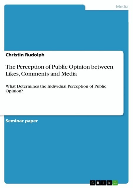 Christin Rudolph - Perception of Public Opinion between Likes, Comments and Media, E-bok