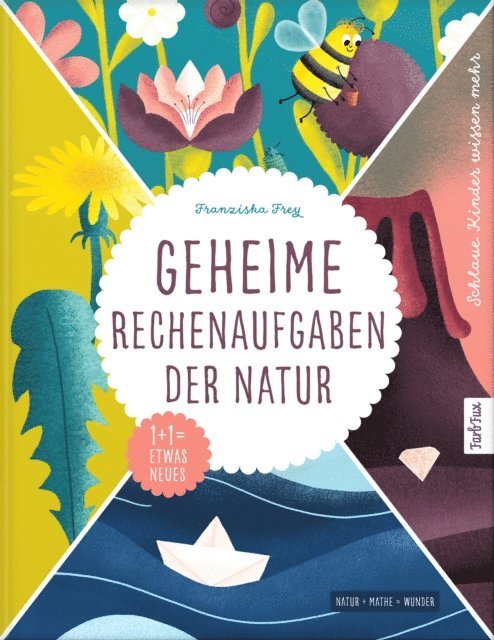 Franziska Frey - Geheime Rechenaufgaben der Natur, E-bok