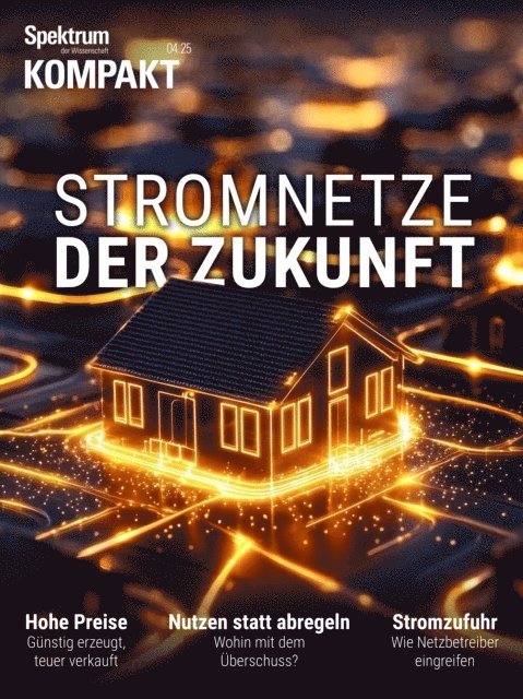 Spektrum der Wissenschaft - Spektrum Kompakt - Stromnetze der Zukunft, E-bok