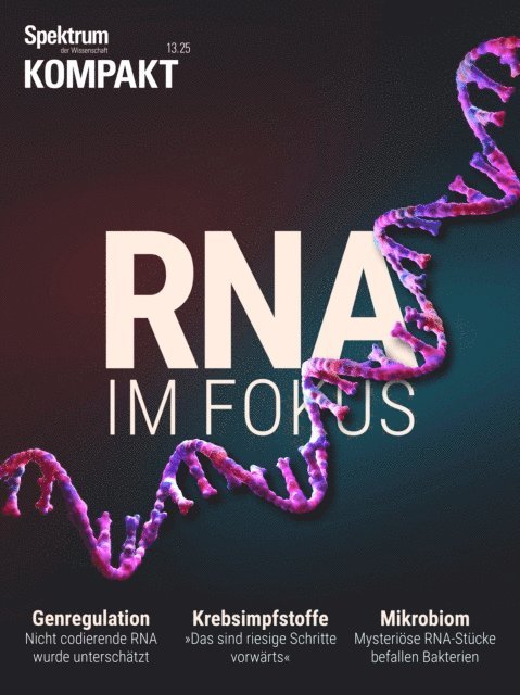 Spektrum der Wissenschaft - Spektrum Kompakt - RNA im Fokus, E-bok