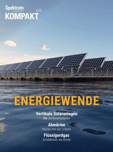Spektrum der Wissenschaft - Spektrum Kompakt - Energiewende, E-bok