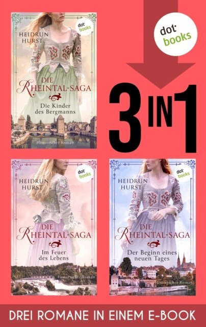 Heidrun Hurst - Die Rheintal-Saga, E-bok