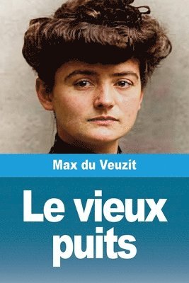 Max Du Veuzit - vieux puits, Häftad