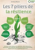 Les 7 piliers de la r�silience