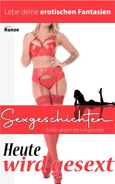 Sandra Kunze - Sexgeschichten - Erotik gegen die Langeweile, E-bok