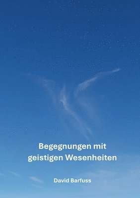 David Barfuss - Begegnungen mit geistigen Wesenheiten, Häftad
