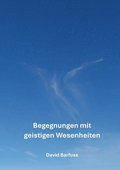 Begegnungen mit geistigen Wesenheiten