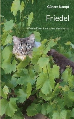 Günter Kampf - Friedel, Häftad. Tillgänglighet: Lägg i varukorg
