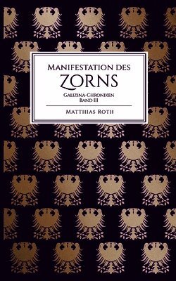 Matthias Roth - Manifestation des Zorns, Häftad
