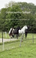 Sabine Schröder - Gottes sanfter Spiegel, Häftad