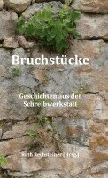 Elsbeth Frei, Jürg Hartmann, Julia Dennler-Schmitz, Christine Marthaler, Verena Ritz-Prader, Franziska Schneider, Brigitte Zingg, Mariette Zaugg-Jakob, Katharina Seiterle, Ruth Rechsteiner - Bruchstücke, Inbunden