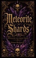 Stefan Michaelis - Meteorite Shards, Häftad