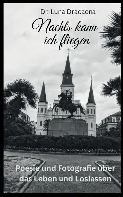 Luna Dracaena - Nachts kann ich fliegen, Häftad. Tillgänglighet: Lägg i varukorg