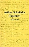 Arthur Schnitzler, Werner Welzig - Tagebuch 1879-1931: 1913-1916, Häftad. Tillgänglighet: Tillfälligt slut