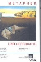 Arturo Larcati, Klaus Muller-Richter - Metapher Und Geschichte: Die Reflexion Bildlicher Rede in Der Poetik Der Deutschen Nachkriegsliteratur (1945-1965), Häftad