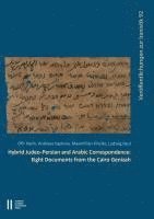 Ofir Haim, Andreas Kaplony - Hybrid Judeo-Persian and Arabic Correspondence: Eight Documents from the Cairo Genizah, Häftad