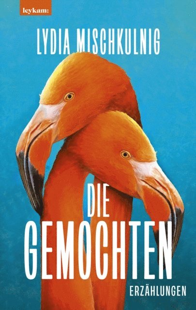 Lydia Mischkulnig - Die Gemochten, E-bok