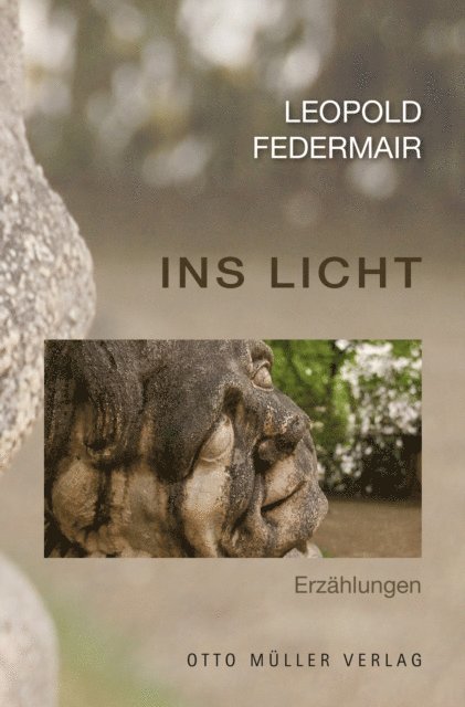 Leopold Federmair - Ins Licht, E-bok