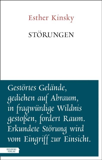 Esther Kinsky - Störungen, E-bok