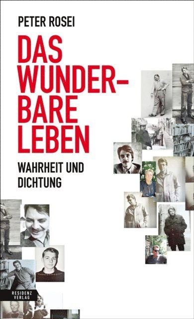 Peter Rosei - Das wunderbare Leben, E-bok
