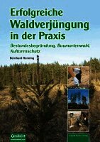 Bernhard Henning - Erfolgreiche Waldverjüngung, Inbunden