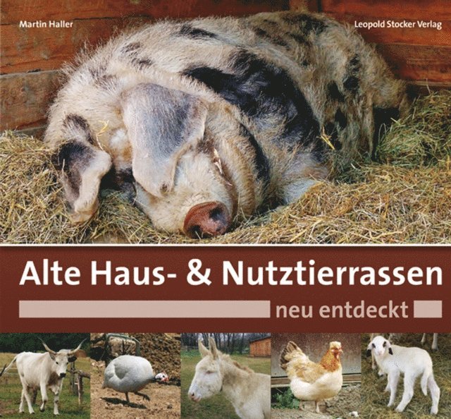 Martin Haller - Alte Haus- & Nutztierrassen neu entdeckt, E-bok. Tillgänglighet: Lägg i varukorg