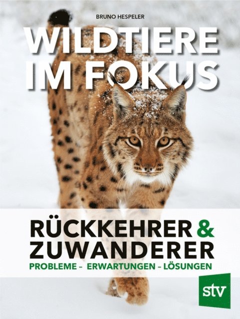 Bruno Hespeler - Wildtiere im Fokus, E-bok
