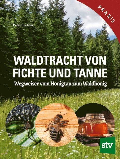 Peter Buchner - Waldtracht von Fichte und Tanne, E-bok