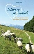 Salzburg gehm�tlich