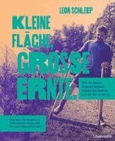 Kleine Fläche, große Ernte