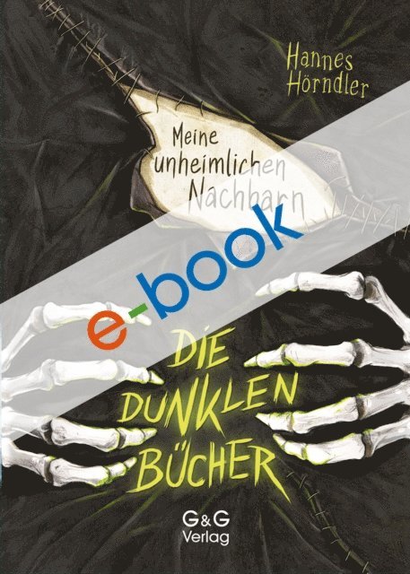 Hannes Horndler - Die dunklen Bücher - Meine unheimlichen Nachbarn, E-bok