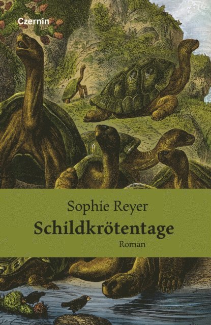 Sophie Reyer - Schildkrötentage, E-bok