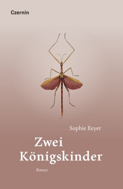 Sophie Reyer - Zwei Königskinder, E-bok