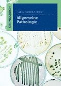 �bungsbuch Allgemeine Pathologie