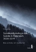 Sozialepidemiologie des Suizids in sterreich 2000-2019