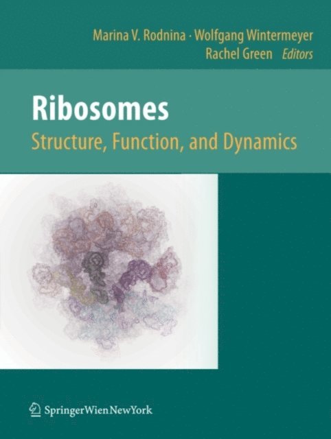 Rachel Green, Wolfgang Wintermeyer, Marina V. Rodnina - Ribosomes Structure, Function, and Dynamics, E-bok