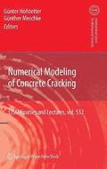 Numerical Modeling of Concrete Cracking