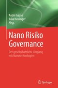 Nano Risiko Governance
