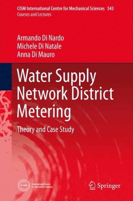 Anna Di Mauro, Michele Di Natale, Armando Di Nardo - Water Supply Network District Metering, E-bok