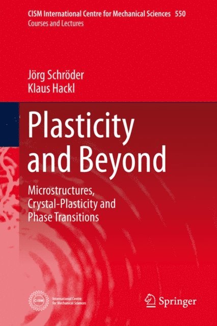 Klaus Hackl, Jorg Schroder - Plasticity and Beyond, E-bok