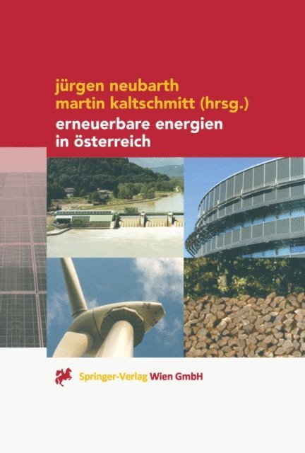 Martin Kaltschmitt, Jurgen Neubarth - Erneuerbare Energien in Österreich, E-bok
