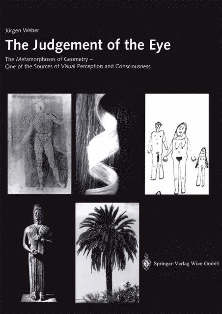 Jurgen Weber - Judgement of the Eye, E-bok
