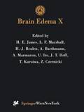 Brain Edema X