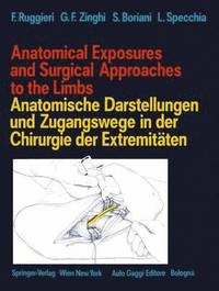 Anatomical Exposures and Surgical Approaches to the Limbs Anatomische Darstellungen und Zugangswege in der Chirurgie der Extremitaten