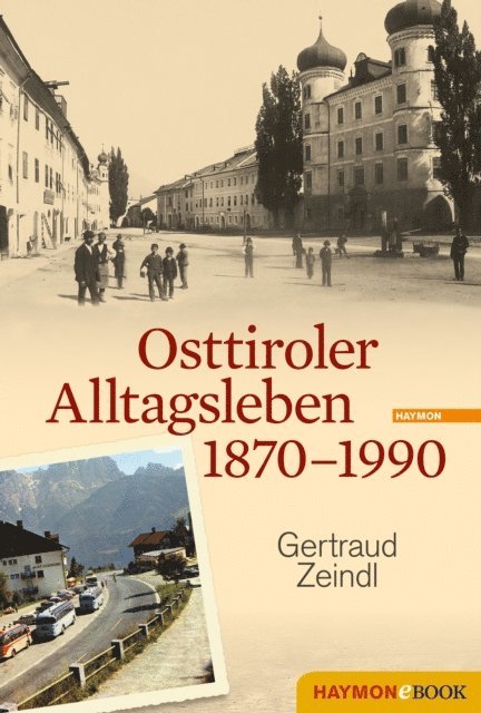 Gertraud Zeindl - Osttiroler Alltagsleben 1870-1990, E-bok
