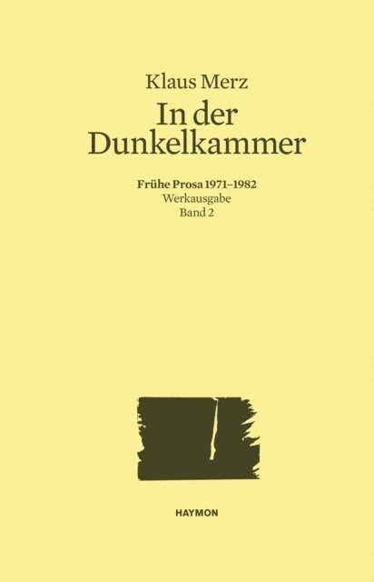 Klaus Merz, Markus Bundi - In der Dunkelkammer, E-bok