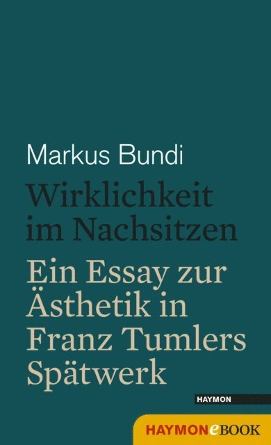 Markus Bundi - Wirklichkeit im Nachsitzen, E-bok