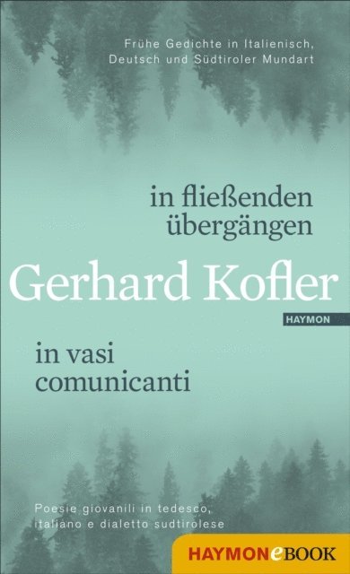 Gerhard Kofler, Christine Riccabona, Maria Piok - in fließenden übergängen | in vasi comunicanti, E-bok